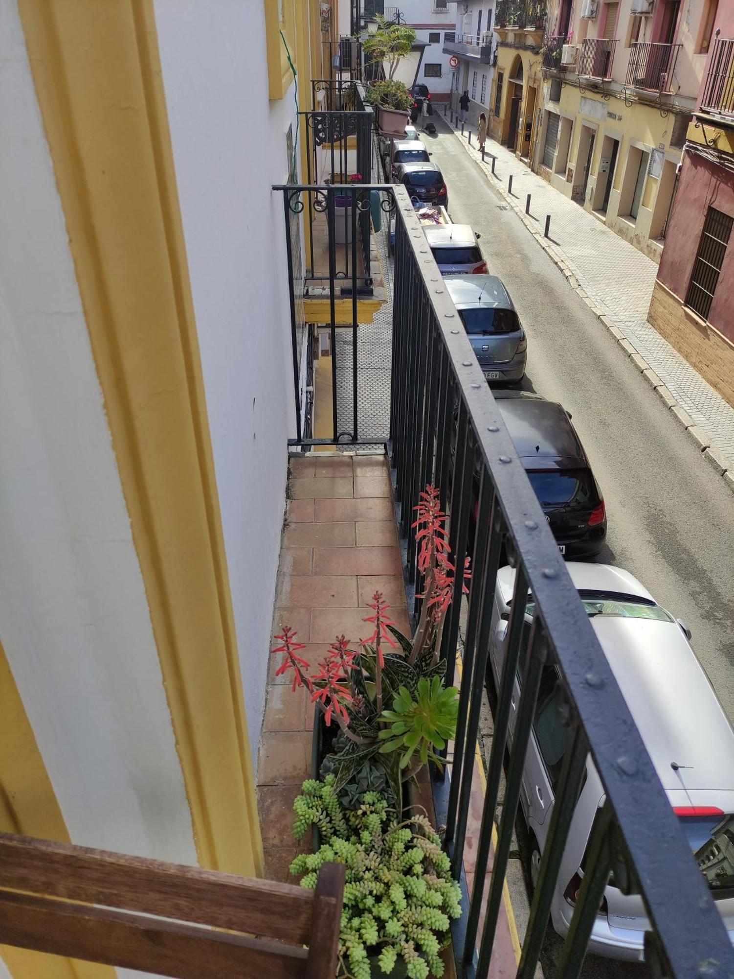Vive Triana Apartment Sevilla